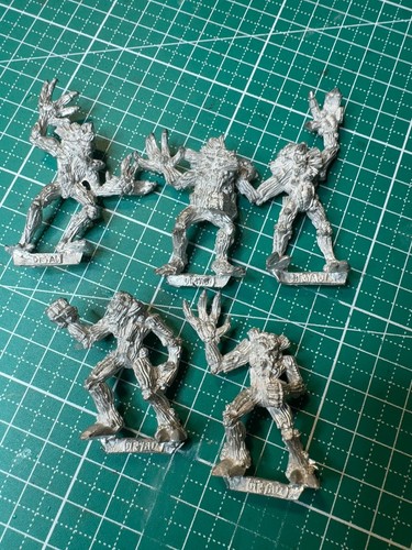 Warhammer citadel marauder - citadel/marauder, 5