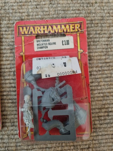 Warhammer berittener knappe - warhammer,